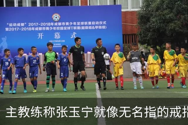 主教练称张玉宁就像无名指的戒指适配球队，本人：言过其实了